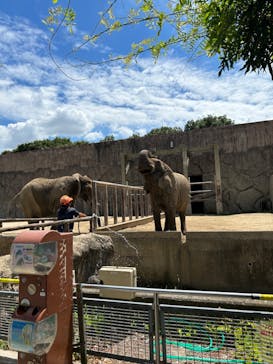 東武動物公園に投稿された画像（2023/8/13）