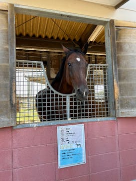 東武動物公園に投稿された画像（2023/8/13）