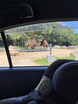 姫路セントラルパークに投稿された画像（2023/8/14）