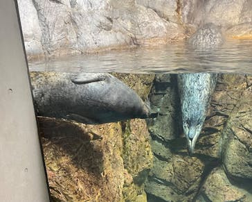 城崎マリンワールドに投稿された画像（2023/8/14）