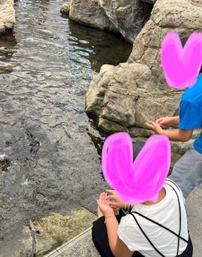 城崎マリンワールドに投稿された画像（2023/8/14）