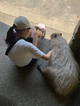 長崎バイオパークに投稿された画像（2023/8/14）