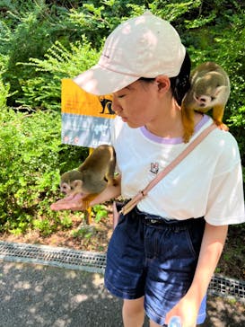 長崎バイオパークに投稿された画像（2023/8/14）