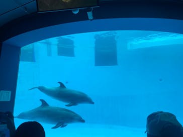 名古屋港水族館に投稿された画像（2023/8/14）