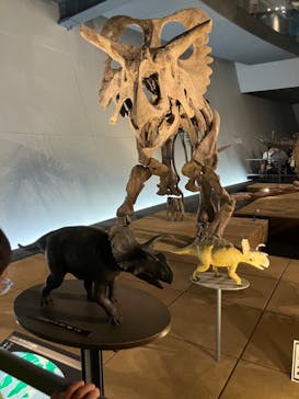 福井県立恐竜博物館に投稿された画像（2023/8/14）