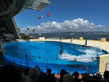 マリンワールド海の中道に投稿された画像（2023/8/14）