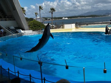 マリンワールド海の中道に投稿された画像（2023/8/14）