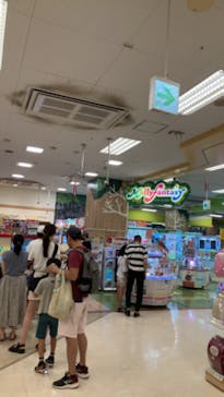 トミカ博 in TOKYO事務局に投稿された画像（2023/8/14）