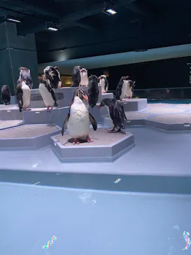 AOAO SAPPOROに投稿された画像（2023/8/14）