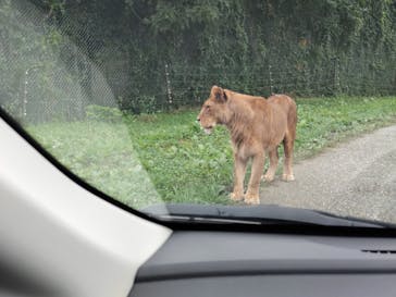 那須サファリパークに投稿された画像（2023/8/14）