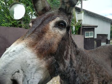 那須サファリパークに投稿された画像（2023/8/14）