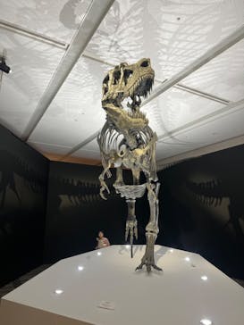 DinoScience 恐竜科学博 2023@TOKYO MIDTOWNに投稿された画像（2023/8/14）