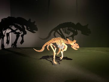 DinoScience 恐竜科学博 2023@TOKYO MIDTOWNに投稿された画像（2023/8/14）