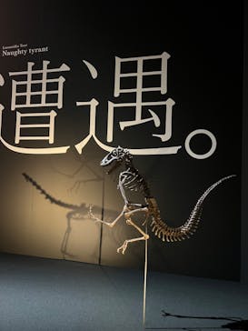 DinoScience 恐竜科学博 2023@TOKYO MIDTOWNに投稿された画像（2023/8/14）