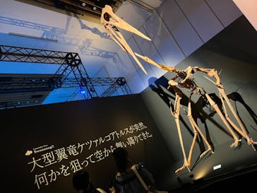 DinoScience 恐竜科学博 2023@TOKYO MIDTOWNに投稿された画像（2023/8/14）