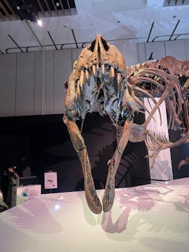 DinoScience 恐竜科学博 2023@TOKYO MIDTOWNに投稿された画像（2023/8/14）