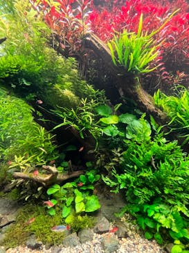 AOAO SAPPOROに投稿された画像（2023/8/14）