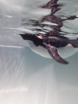 AOAO SAPPOROに投稿された画像（2023/8/14）