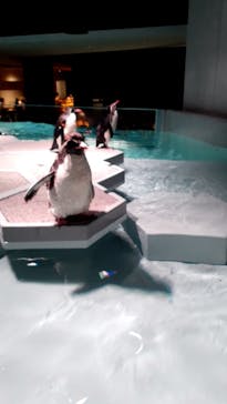 AOAO SAPPOROに投稿された画像（2023/8/14）