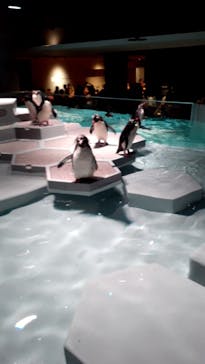 AOAO SAPPOROに投稿された画像（2023/8/14）