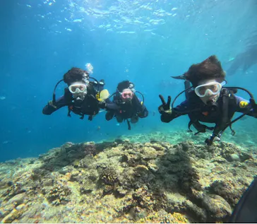 武藤潜水に投稿された画像（2023/8/14）