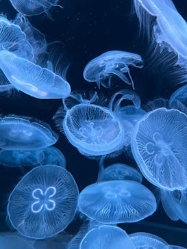 AOAO SAPPOROに投稿された画像（2023/8/14）