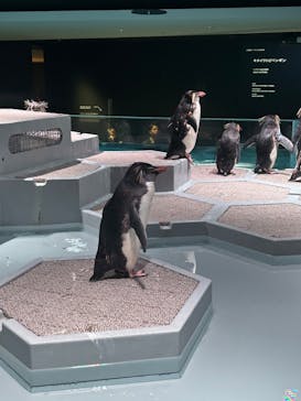 AOAO SAPPOROに投稿された画像（2023/8/14）