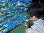 アクアワールド茨城県大洗水族館に投稿された画像（2023/8/14）