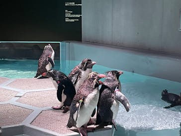 AOAO SAPPOROに投稿された画像（2023/8/14）