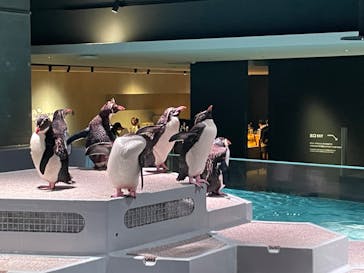 AOAO SAPPOROに投稿された画像（2023/8/14）