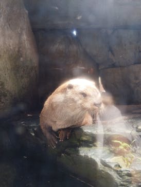 環境水族館アクアマリンふくしまに投稿された画像（2023/8/14）