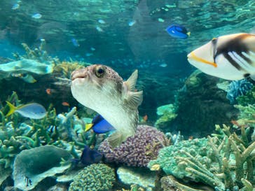 名古屋港水族館に投稿された画像（2023/8/14）