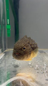 城崎マリンワールドに投稿された画像（2023/8/14）