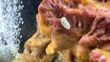 城崎マリンワールドに投稿された画像（2023/8/14）