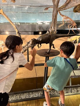 福井県立恐竜博物館に投稿された画像（2023/8/14）