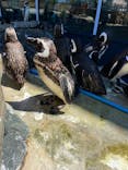 上越市立水族博物館 うみがたりに投稿された画像（2023/8/14）
