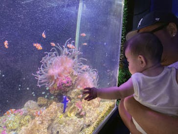 箱根園水族館に投稿された画像（2023/8/14）
