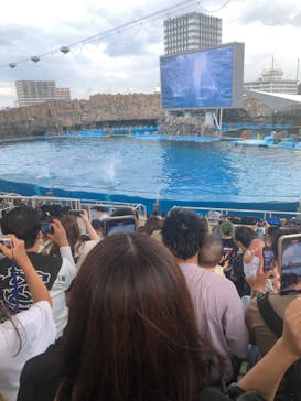 名古屋港水族館に投稿された画像（2023/8/14）