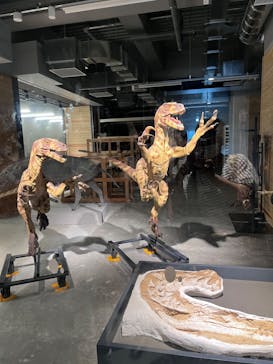 福井県立恐竜博物館に投稿された画像（2023/8/14）