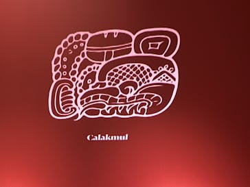 特別展「古代メキシコーマヤ、アステカ、テオティワカン」に投稿された画像（2023/8/14）