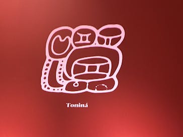 特別展「古代メキシコーマヤ、アステカ、テオティワカン」に投稿された画像（2023/8/14）