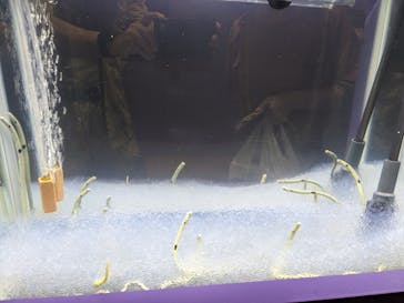 ぶっとんでるいきもの展に投稿された画像（2023/8/14）