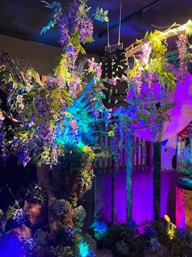 NARA KINGYO MUSEUMに投稿された画像（2023/8/14）