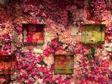 NARA KINGYO MUSEUMに投稿された画像（2023/8/14）