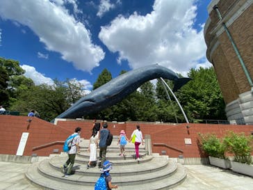 国立科学博物館に投稿された画像（2023/8/14）