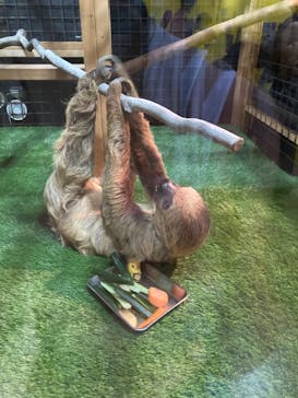 ぶっとんでるいきもの展に投稿された画像（2023/8/14）