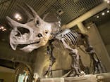 国立科学博物館に投稿された画像（2023/8/14）