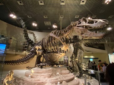 国立科学博物館に投稿された画像（2023/8/14）