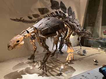 国立科学博物館に投稿された画像（2023/8/14）