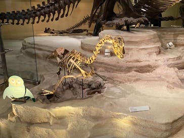 国立科学博物館に投稿された画像（2023/8/14）